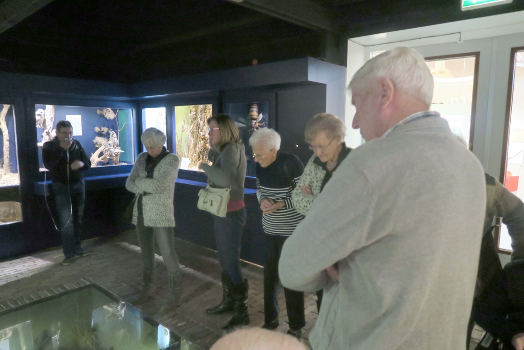 Ouderen verwendag-09.jpg